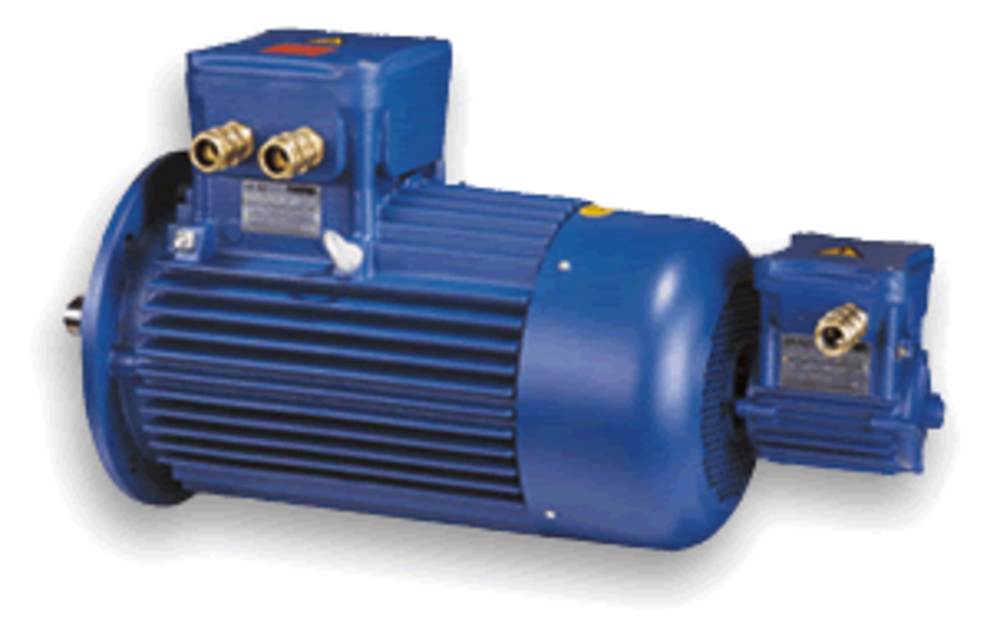 CEMP Motor Explosion Proof - Italy - 5